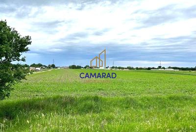 Teren intravilan 13.602 mp | Dragomiresti Vale | Sos. de Centura - 6