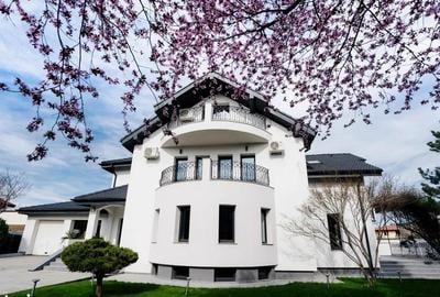 Pipera vile lux de exceptie cu teren de 1000mp - 6
