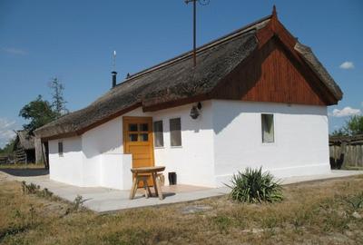 Casă cu 7 camere în Letea