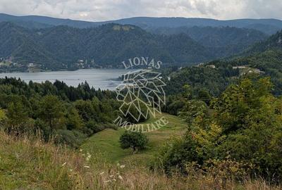 Teren 550 mp - ideal Cabana turistica- utilitati-panorama lac Colibita - 1