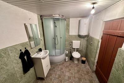 Casa de vanzare in Cig (Tasnad), Satu Mare - 9