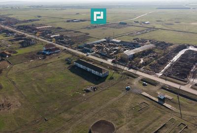 Hală industrială cu teren generos în Zărand, Arad - 33