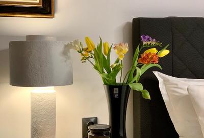 Apartament 2 dormitoare Cornisa UMF - 15