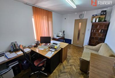 Oportunitate afacere: Spatiu industrial + Casa de locuit - Bogdanestilor - 13