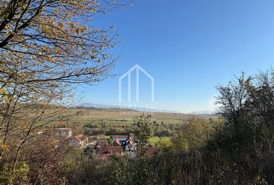 Teren de vanzare in Sibiu - 792 mp utili - INTRAVILAN - zona Cisnadie - 6