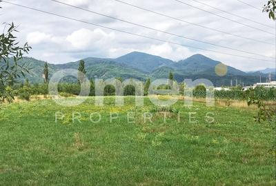 Teren Construcții intravilan de 4824 mp, în Nord