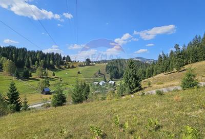 Casă / Vilă de vacanta in Dorna Arini, Suceava - 56