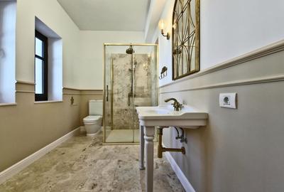 Vila complet renovata Dorobanti Capitale - 11