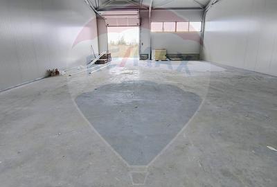 Hale industriale noi de inchiriat – spatii modulare 100–560 mp - 5