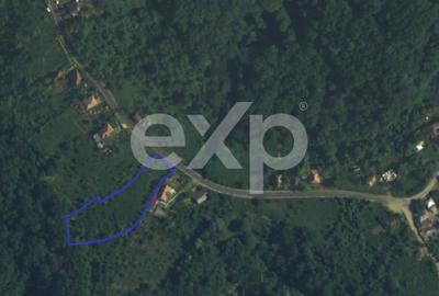 Teren intravilan 3052 mp | Băcești, Drăganu | asfalt | utilități la poartă - 5