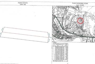 De Vanzare Teren extravilan 6722 mp Păuliș – zona Roca Bruna, Arad - 4