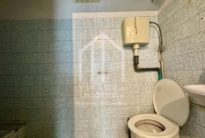 Casa individuala si garsoniere, 115mp utili+demisol (65mp), Terezian - 9