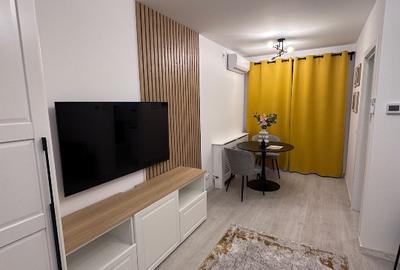 Proprietar / inchiriez Garsoniera Hils Brauner / Moden mobilata - 11