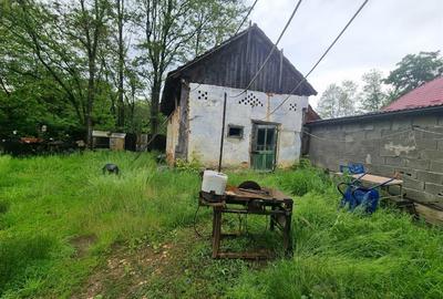 Casa de renovat  in Sinca Noua - 15
