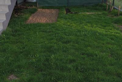 Apartament 4 camere cu gradina proprie de vanzare – Dobroesti - 18