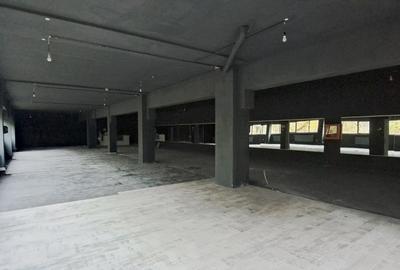 Magurele, judetul ilfov, depozite 40 mp – 500 mp - 1