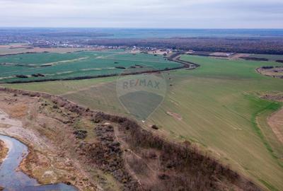 Vanzare teren extravilan 310,000 mp Catunu/Berceni, langa Ploiesti - 3
