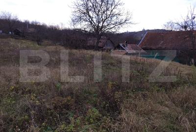 Proprietate cu teren 2460 mp si casa renovabila, Cojocna - 8