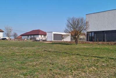 Teren Construcții intravilan de 701 mp, în Dumbrăvița