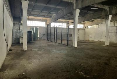 Spatii industriale , teren ,silozuri si Fabrica de nutret pentru animale Peris - 4