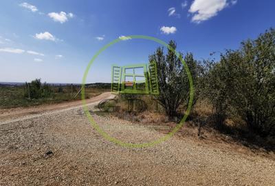 Teren intravilan de vanzare, 3.500 mp, cu front stradal de 21,5 ml - 1