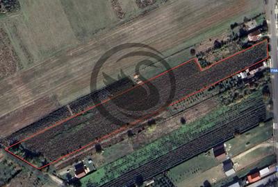 Teren intravilan de vanzare | 12.650 mp | Ghirdoveni, | Comision 0% - 2