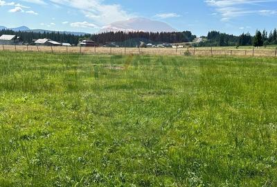 Teren parțial intravilan 30,930 mp Poiana Stampei-DN E58, Suceava - 13