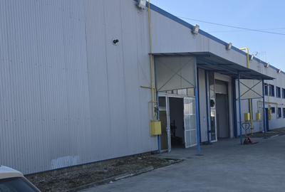 De inchiriat hală de productie sau depozitare,Lugoj - 6