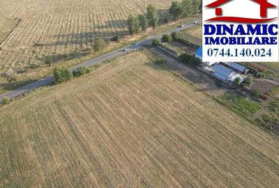 17000 mp intravilan, Piatra-Neamt, 50 Eur/mp - 2