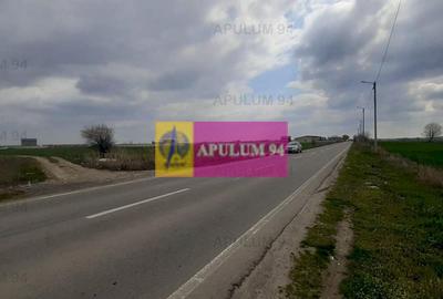 Teren Intravilan  cu front stradal la un Drum Principal langa București - 35