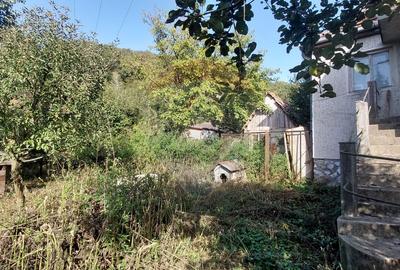 Casă  individuala cu teren generos - 11
