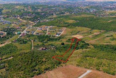 RECO Teren Saldobagiu de munte - 1