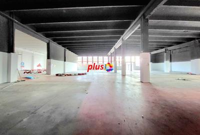 Show room - 600 mp #Plus-imo.ro