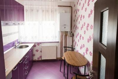 Apartament 2 camere semidecomandate Calea Severinului-Gradina Botanica - 3