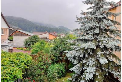 Vanzare Casa Str Lunga Carierei - 7