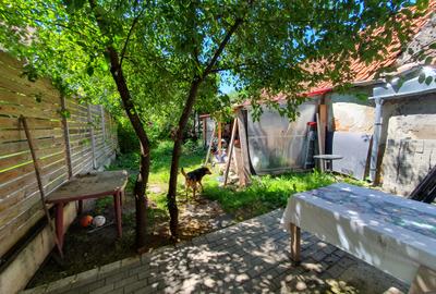 Sitei, casa individuala, teren 280 mp, 270000 euro - 7