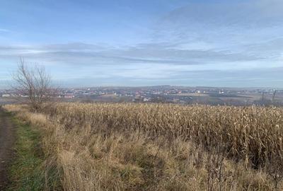 Teren intravilan de vânzare | Cajvana | 7.800 mp - 3