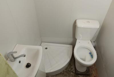 APARTAMENT 3 CAMERE- SPAIUL UNIRII- GRADINA- LOC PARCARE - 6