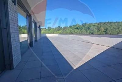 Spațiu de birouri  spre vânzare cu terasă - Mănăstur - 1