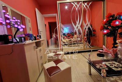 Apartament cu 2 camere decomandat, mobilat în Aradului