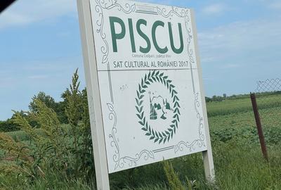 Teren Construcții intravilan de 12500 mp, în Piscu