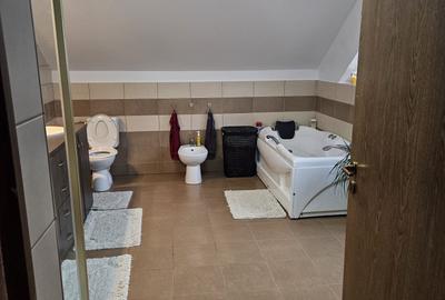 🏡 PROPRIETATE DE EXCEPȚIE – ZONĂ ULTRACENTRALĂ, BAIA MARE - 10
