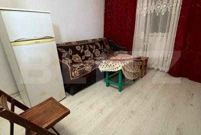 Camera de camin, 17 mp, zona Bularga - 6