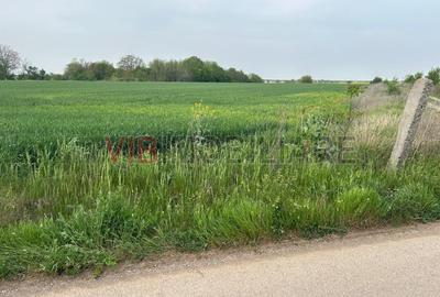 Comuna Dascalu - A0 - teren intravilan 9000 mp - 4