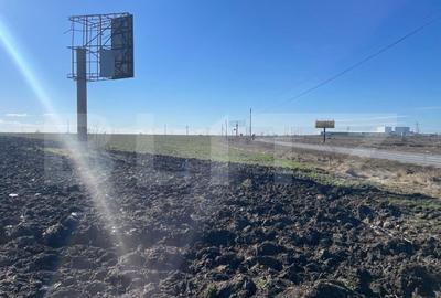 Investitie! Teren intravilan 14814 mp, zona Qfort-Pielesti - 1