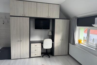 Inchiriere apartament in vila, 2 camere, 56 mp, zona Lunga-Carierei. - 4