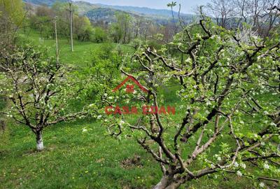 ●Casa de vacanta in Breaza, 3 camere, teren 1906 mp, 120.000e● - 4