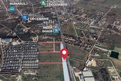 Teren intravilan, 1 Decembrie, deschidere DN5, certificat urbanistic - 2