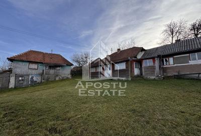 Casa batraneasca la munte, in Hunedoara, Tinutul Padurenilor, Cerbal - 1