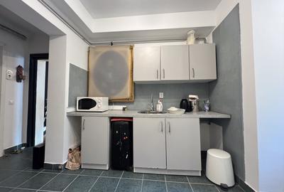 Vânzare garsonieră 40 mp, de la proprietar, Floreasca, București - 13